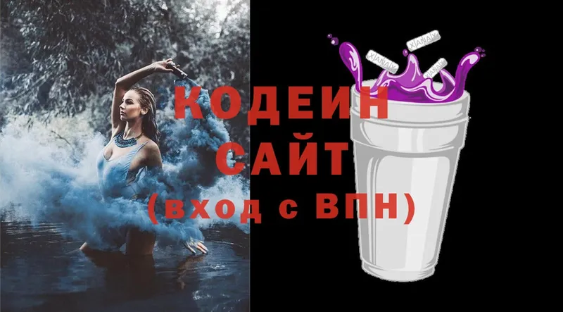 продажа наркотиков  Нестеровская  kraken ТОР  Кодеиновый сироп Lean Purple Drank 